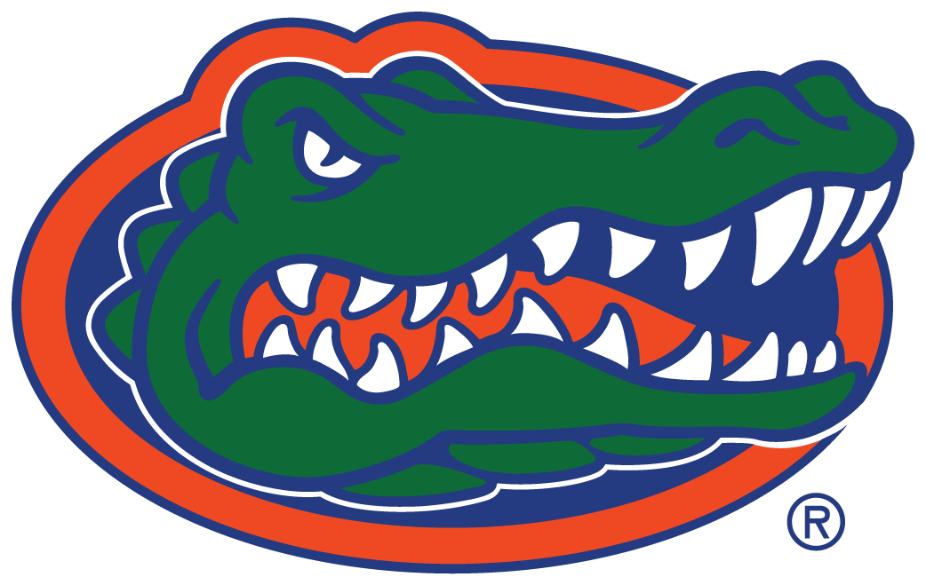 Florida Gators 2013-Pres Primary Logo iron on transfers for T-shirts